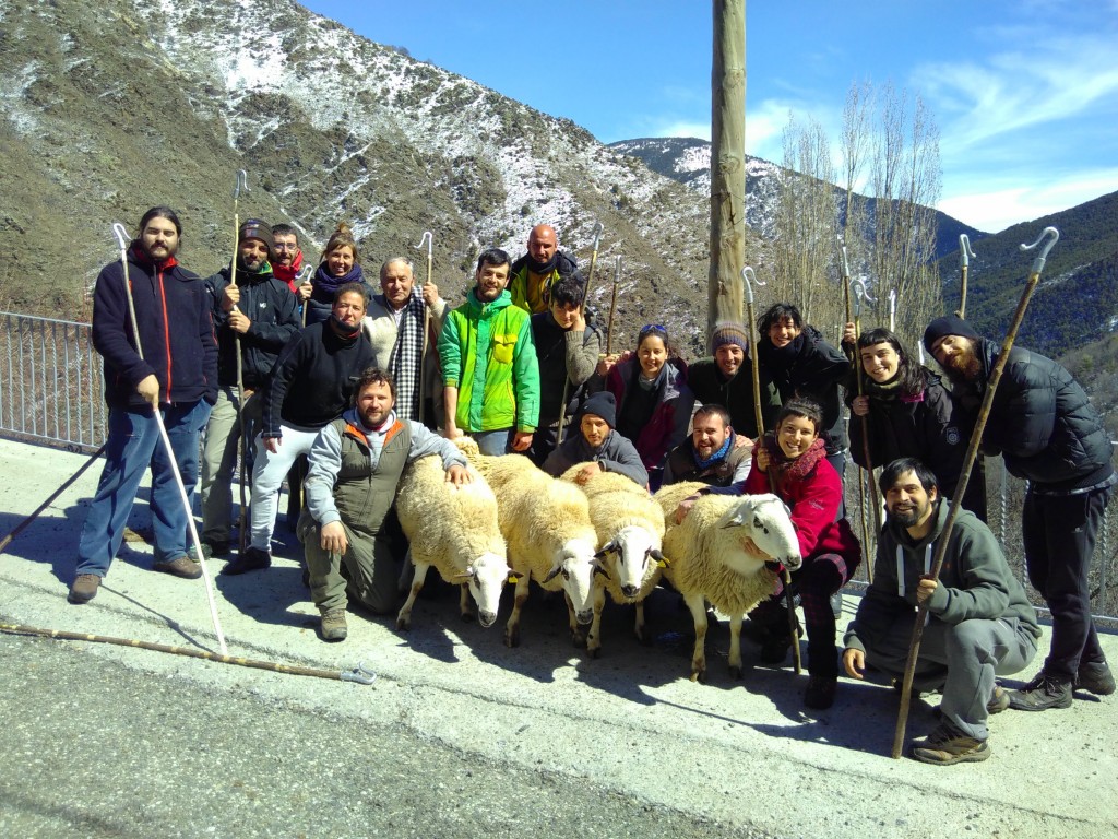 escola pastors